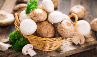 新鲜蘑菇煮面条怎么做 新鲜蘑菇煮面条做法