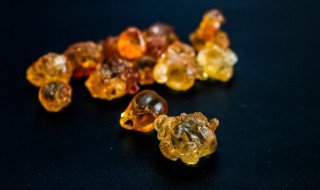 桃胶需要泡多久才能煮 桃胶需要泡多长时间才能煮呢