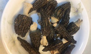 羊肚菌需要煮多久 羊肚菌需要煮多长时间呢