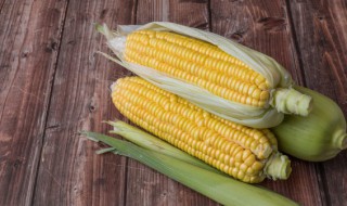 新鲜玉米糕怎么做 玉米糕的做法