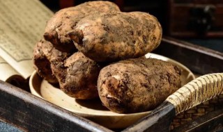 新鲜天麻怎么做 新鲜天麻有哪些做法