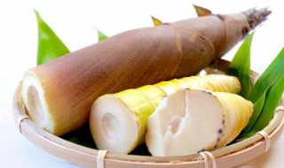 新鲜竹笋怎么做才不苦 新鲜竹笋发苦怎么处理