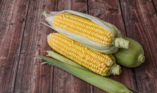 新鲜玉米怎么做辅食 新鲜玉米辅食的烹饪方法