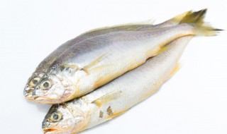 新鲜的青花椒煮鱼家常怎么做 青花椒煮鱼的做法