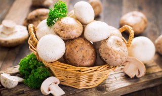 蘑菇需要煮多久 蘑菇需要煮几分钟呢