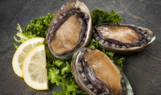 新鲜鲍鱼虾煮面怎么做 如何做出好吃的鲍鱼鲜虾面