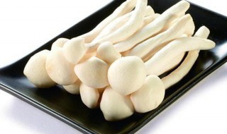 海鲜菇需要煮多久 海鲜菇需要煮几分钟才熟呢