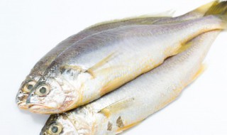 新鲜的鱼怎么做鱼干 活小鱼怎么做成小鱼干