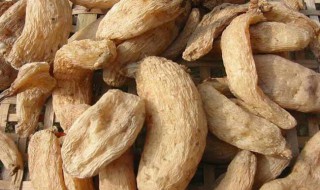 新鲜天麻煮鸡怎么做 ?新鲜天麻炖鸡的做法