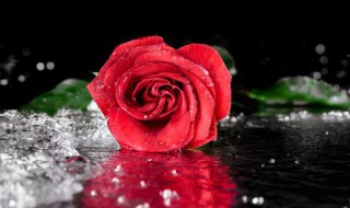 新鲜玫瑰花怎么做吃好 新鲜玫瑰花怎么吃