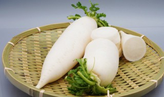 用新鲜的肉煮萝卜要怎么做 肉煮萝卜的做法