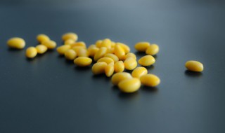 煮新鲜大豆做好吃的菜怎么做 煮大豆好吃的做法