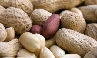 煮新鲜花生带壳能吃吗怎么做 带皮花生怎么煮好吃