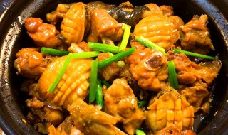 鸡煮新鲜鲍鱼怎么做 鸡煮新鲜鲍鱼如何做