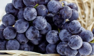 新鲜葡萄怎么做葡萄汁 如何制作新鲜的葡萄汁