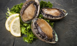 新鲜鲍鱼煮萝卜怎么做 新鲜鲍鱼煮萝卜的做法