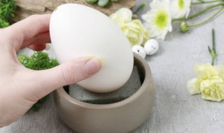 鹅蛋需要煮多久 鹅蛋需要煮多长时间才熟呢