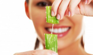 新鲜的芦荟面膜怎么做 芦荟面膜的做法