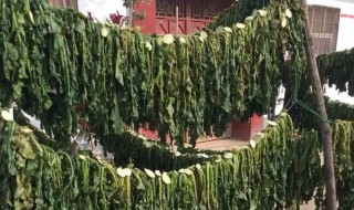 干的萝卜缨子煮多久才能吃 干的萝卜缨子煮几分钟才能吃