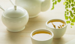 白茶需要煮多久 白茶煮多长时间合适呢