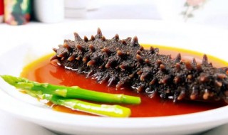 冻海参煮多久才能吃 冻海参煮几分钟才能吃