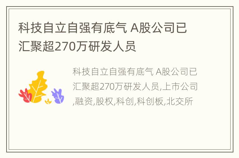 科技自立自强有底气 A股公司已汇聚超270万研发人员