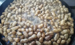 煮盐水花生需要多久 煮盐水花生需要几分钟才熟呢