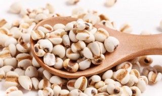 炒薏米仁要煮多久才能吃 炒薏米仁要煮几分钟才能吃