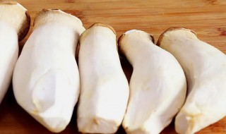 鲍鱼菇要煮多久才能吃 鲍鱼菇要煮几分钟才能吃