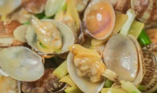 田螺花蛤煮多久熟了才能吃 田螺花蛤煮几分钟熟了才能吃