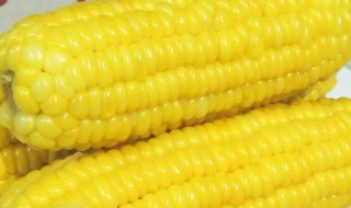 四川的玉米煮多久才能吃 煮玉米方法分享