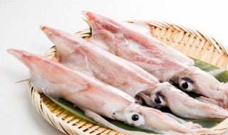 墨鱼煮多久才能吃 墨鱼煮的时长是多少