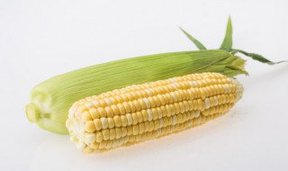 玉米水烧开后要煮多久才能吃 玉米水烧开后要煮多长时间才能吃
