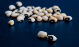 黄豆需要煮多久能熟 黄豆需要煮多长时间才能熟呢