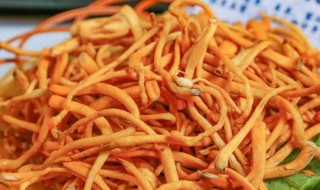 虫草菇炖汤要煮多久才能吃 虫草菇炖汤要煮多久介绍