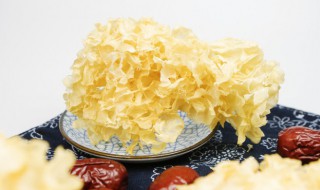 泡过的银耳要煮多久才能吃 泡过的银耳要煮多长时间才能吃