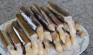 蛏子需要煮多久 蛏子需要煮几分钟才熟