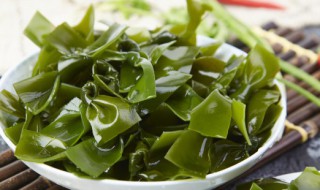 鲜海带需要煮多久 鲜海带需要煮几分钟才熟呢