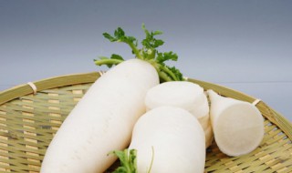 白萝卜煮多久才能吃 关于白萝卜煮多久