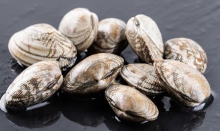 花蛤需要煮多久 花蛤需要煮多长时间才熟呢