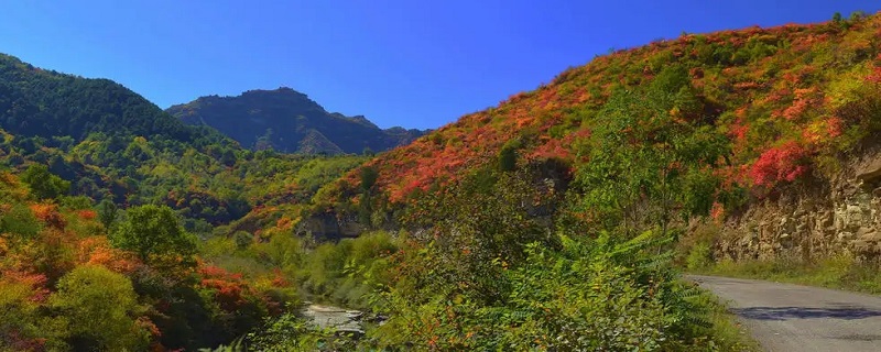 高邑县旅游景点推荐