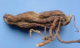 何首乌要煮多久才能吃了 何首乌要煮多长时间才能吃