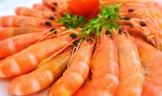 基围虾煮多久才能吃 基围虾介绍