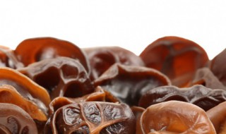 木耳需要煮多久才能吃 木耳需要煮多长时间才能吃呢