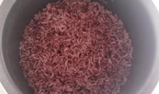 煮紫米需要泡多久 煮紫米需要泡多长时间呢