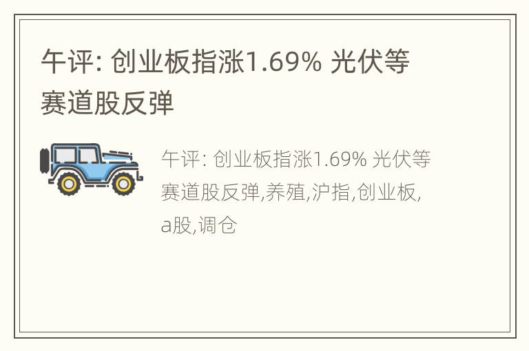 午评：创业板指涨1.69% 光伏等赛道股反弹