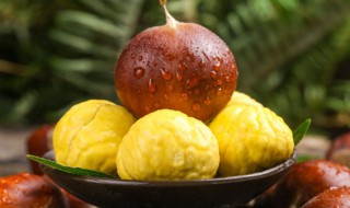 栗子需要煮多久能熟 栗子需要煮几分钟才能熟呢