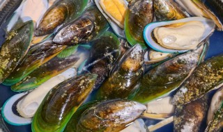 青口需要煮多久 青口需要煮几分钟呢