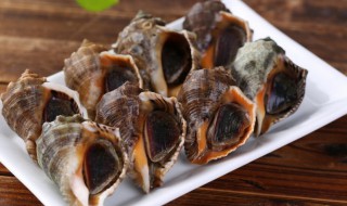 大海螺需要煮多久 大海螺需要煮几分钟才行呢