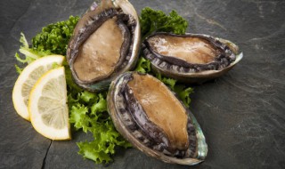 煮鲍鱼需要多久能熟 煮鲍鱼需要多长时间能熟呢